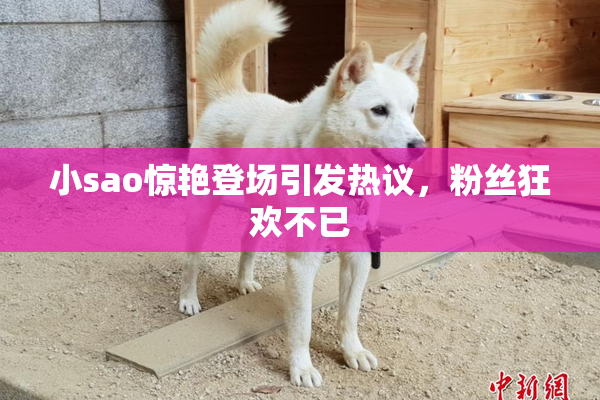 小sao惊艳登场引发热议，粉丝狂欢不已