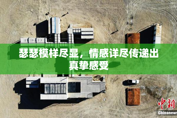 瑟瑟模样尽显，情感详尽传递出真挚感受