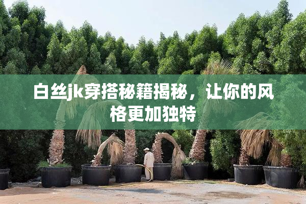 白丝jk穿搭秘籍揭秘，让你的风格更加独特