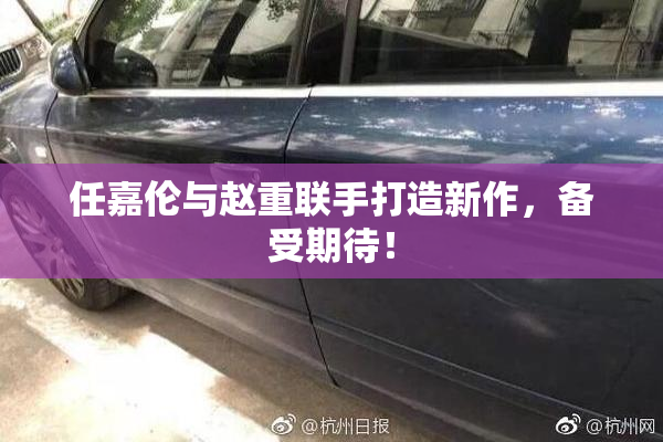 任嘉伦与赵重联手打造新作，备受期待！