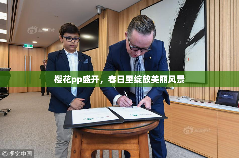樱花pp盛开，春日里绽放美丽风景