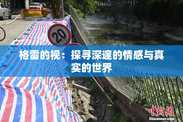 格雷的视：探寻深邃的情感与真实的世界