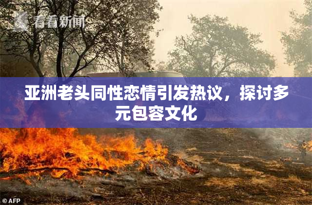 亚洲老头同性恋情引发热议，探讨多元包容文化