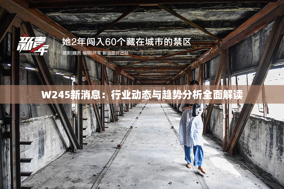 W245新消息：行业动态与趋势分析全面解读