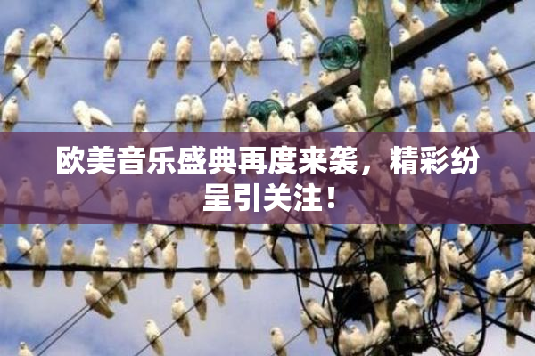 欧美音乐盛典再度来袭，精彩纷呈引关注！