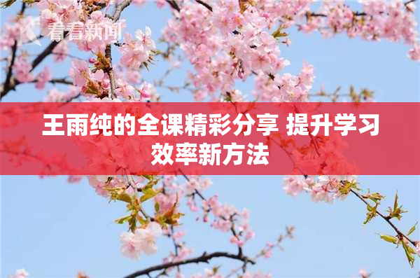 王雨纯的全课精彩分享 提升学习效率新方法
