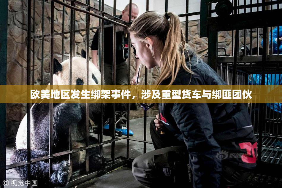欧美地区发生绑架事件，涉及重型货车与绑匪团伙