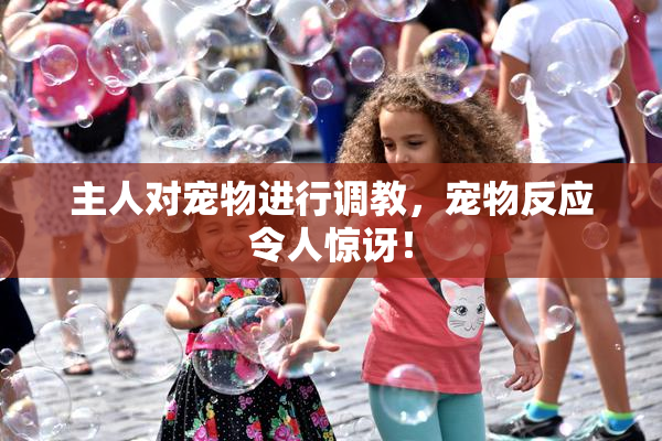 主人对宠物进行调教，宠物反应令人惊讶！