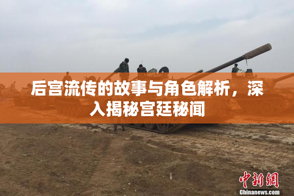 后宫流传的故事与角色解析，深入揭秘宫廷秘闻