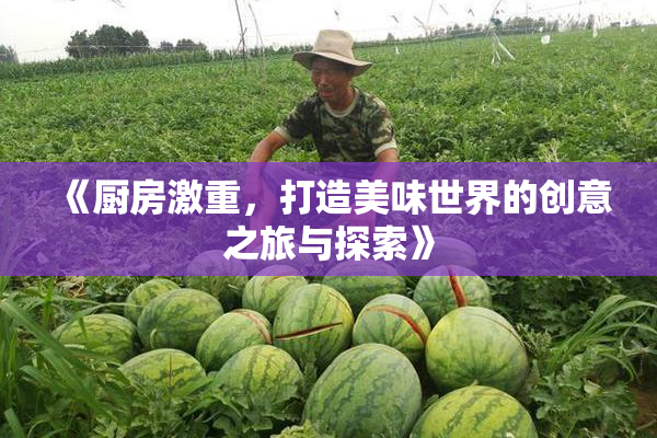 《厨房激重，打造美味世界的创意之旅与探索》