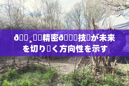 🌸‌✿精密🍑技術が未来を切り開く方向性を示す