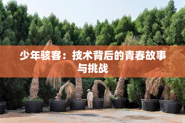 少年骇客：技术背后的青春故事与挑战