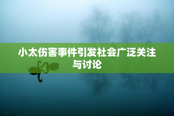 小太伤害事件引发社会广泛关注与讨论