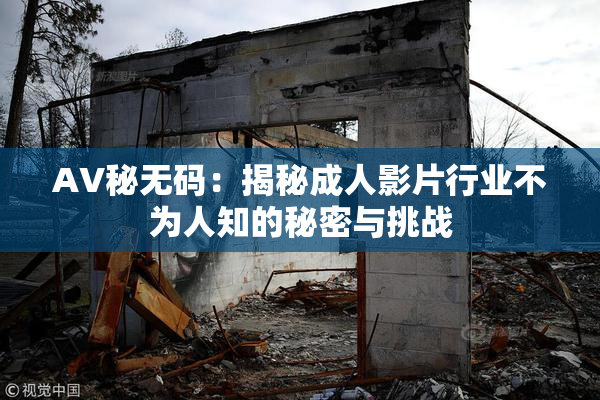 AV秘无码：揭秘成人影片行业不为人知的秘密与挑战