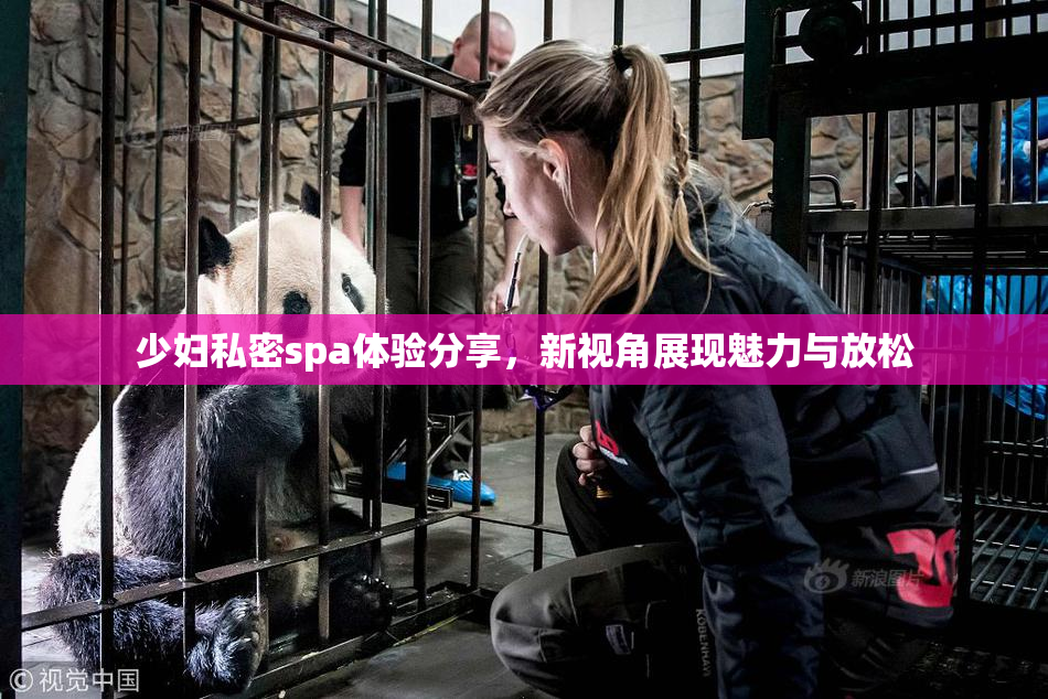 少妇私密spa体验分享，新视角展现魅力与放松