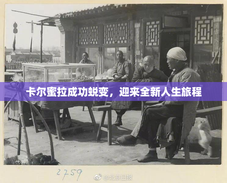 卡尔蜜拉成功蜕变，迎来全新人生旅程