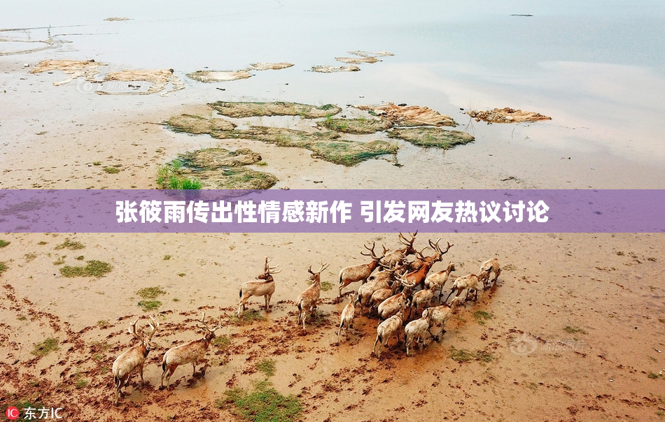 张筱雨传出性情感新作 引发网友热议讨论