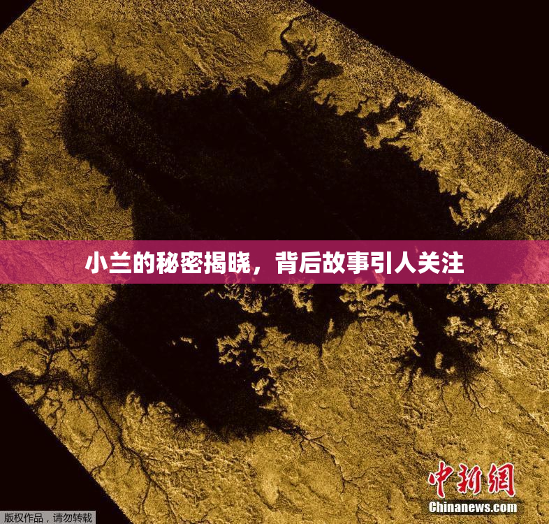 小兰的秘密揭晓，背后故事引人关注