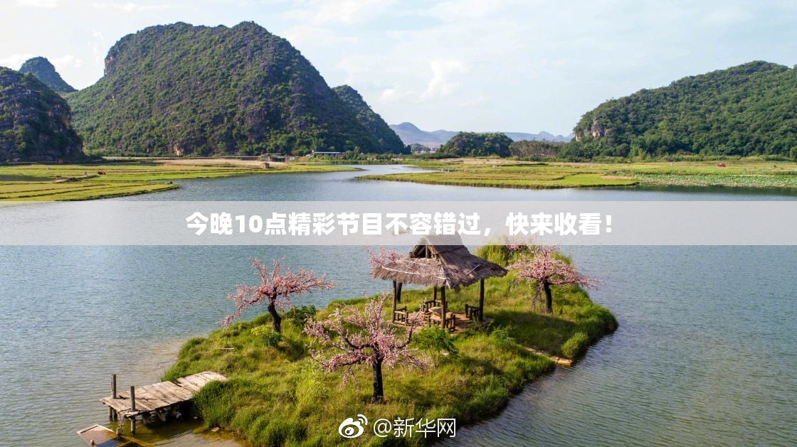 今晚10点精彩节目不容错过，快来收看！
