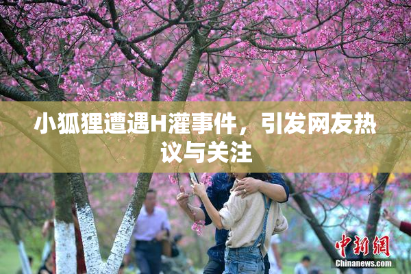 小狐狸遭遇H灌事件，引发网友热议与关注