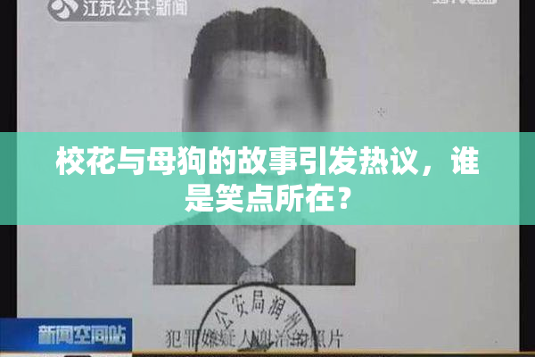 校花与母狗的故事引发热议，谁是笑点所在？