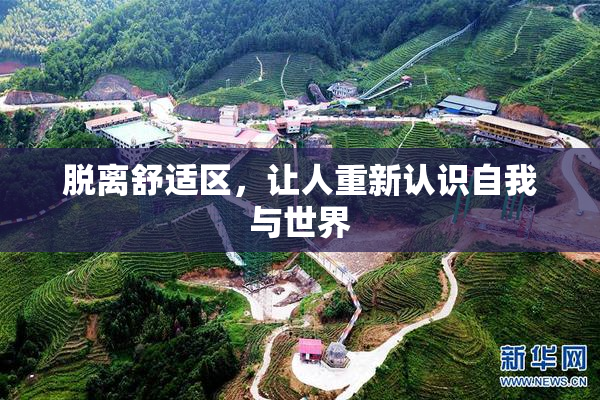 脱离舒适区，让人重新认识自我与世界