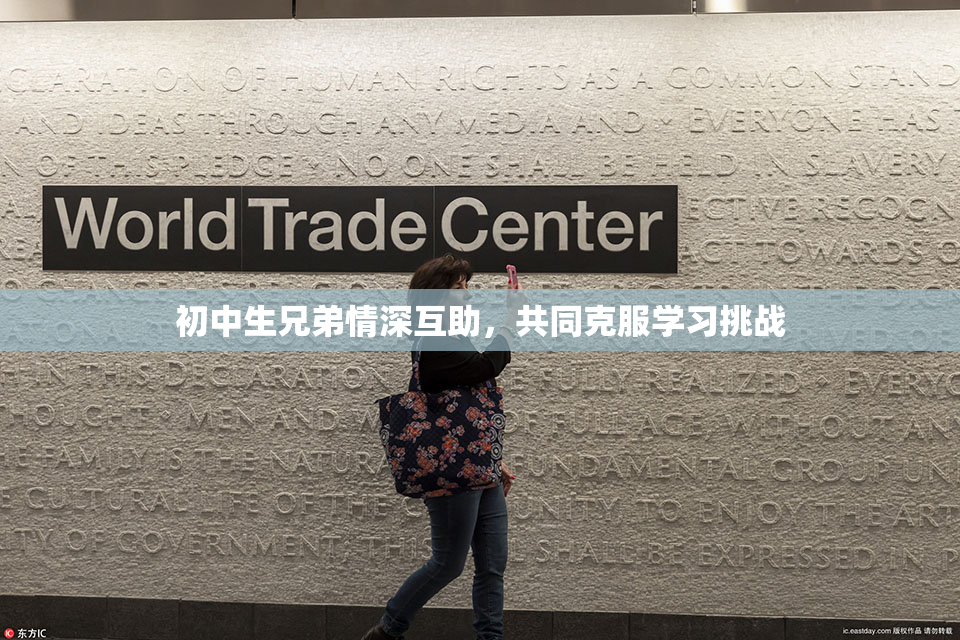 初中生兄弟情深互助，共同克服学习挑战