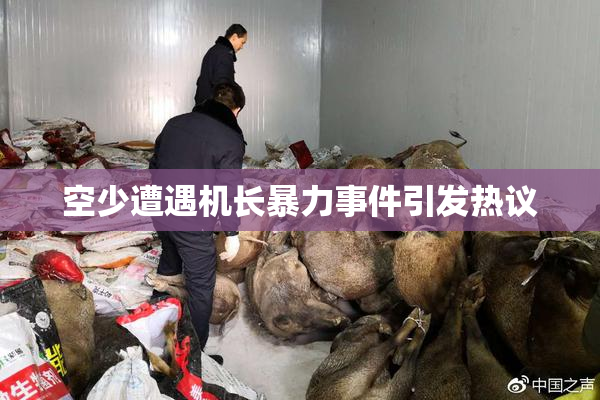 空少遭遇机长暴力事件引发热议