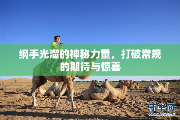 纲手光溜的神秘力量，打破常规的期待与惊喜