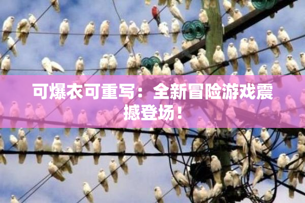 可爆衣可重写：全新冒险游戏震撼登场！