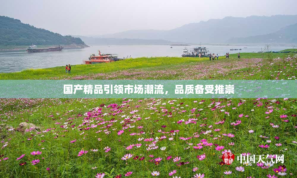 国产精品引领市场潮流，品质备受推崇