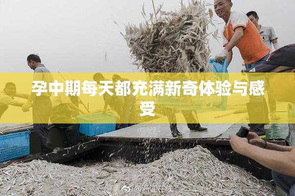 孕中期每天都充满新奇体验与感受