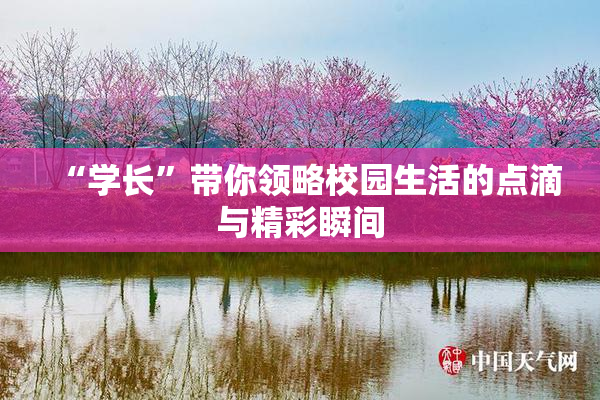 “学长”带你领略校园生活的点滴与精彩瞬间