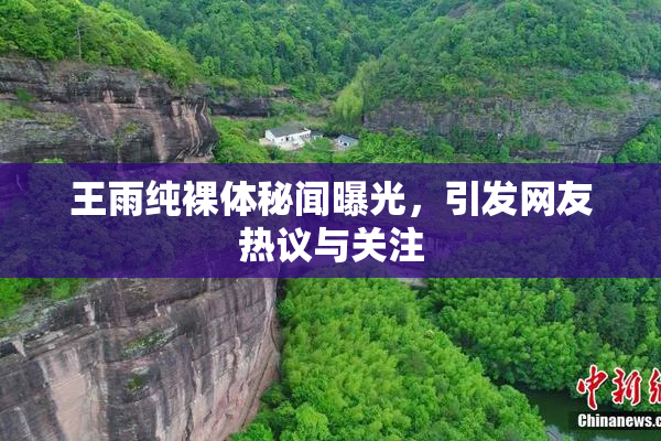 王雨纯裸体秘闻曝光，引发网友热议与关注