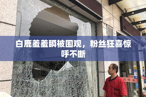白鹿羞羞瞬被围观，粉丝狂喜惊呼不断