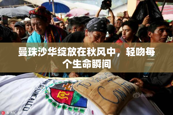曼珠沙华绽放在秋风中，轻吻每个生命瞬间