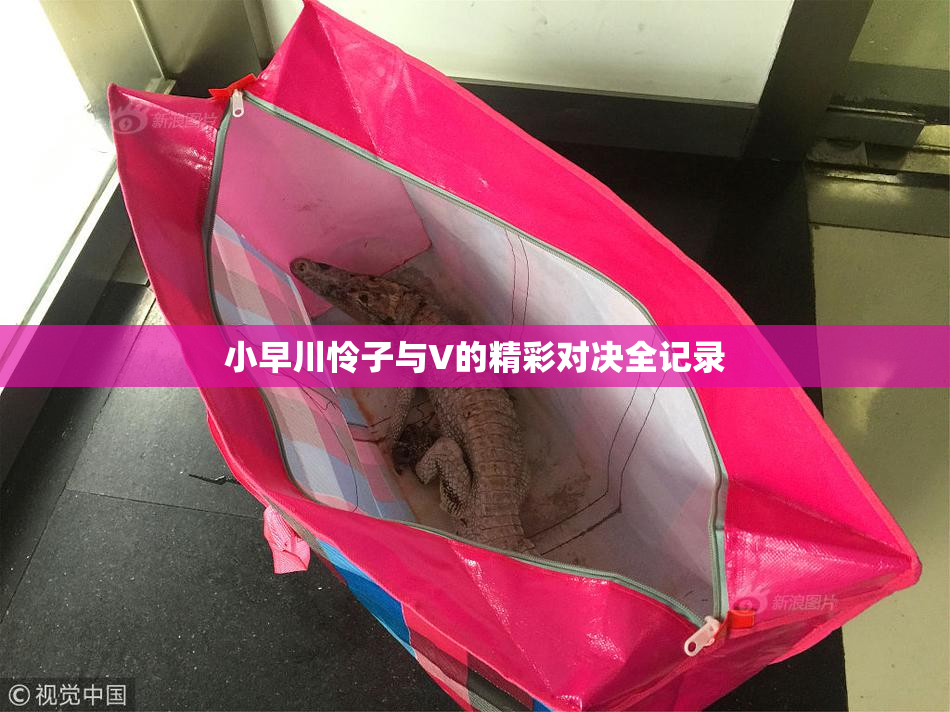 小早川怜子与V的精彩对决全记录