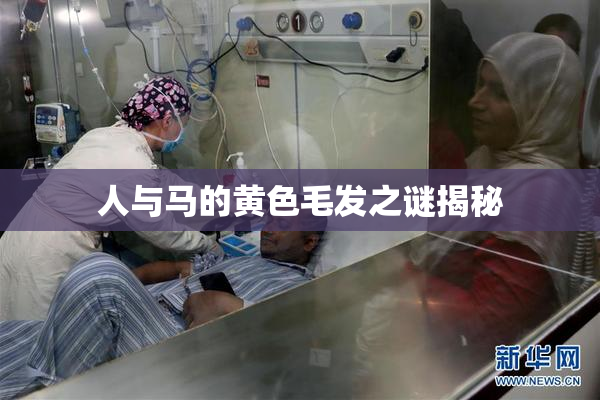 人与马的黄色毛发之谜揭秘