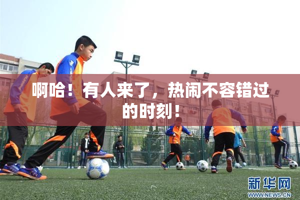 啊哈！有人来了，热闹不容错过的时刻！