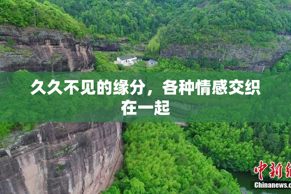 久久不见的缘分，各种情感交织在一起