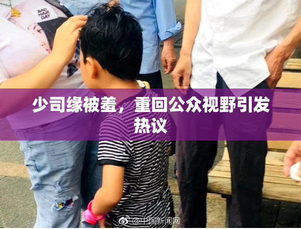 少司缘被羞，重回公众视野引发热议