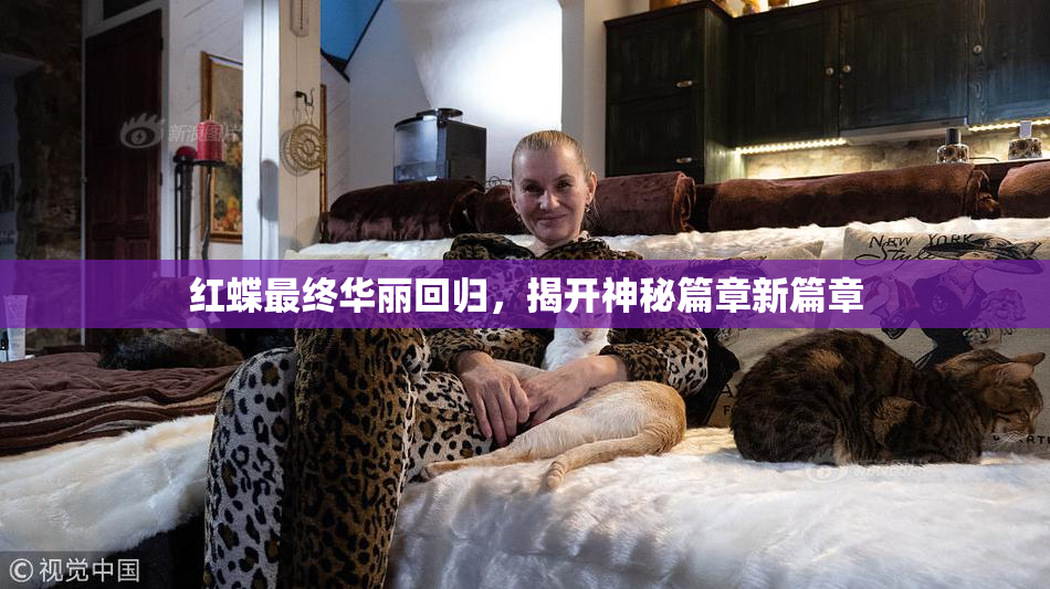 红蝶最终华丽回归，揭开神秘篇章新篇章