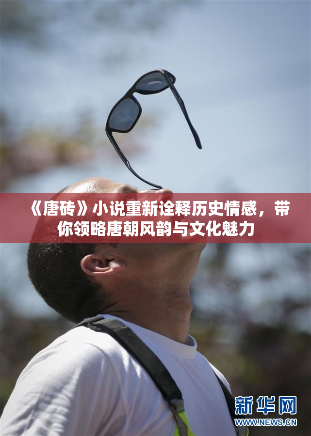《唐砖》小说重新诠释历史情感，带你领略唐朝风韵与文化魅力