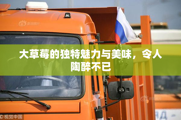 大草莓的独特魅力与美味，令人陶醉不已