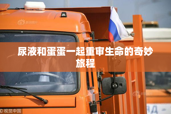 尿液和蛋蛋一起重审生命的奇妙旅程