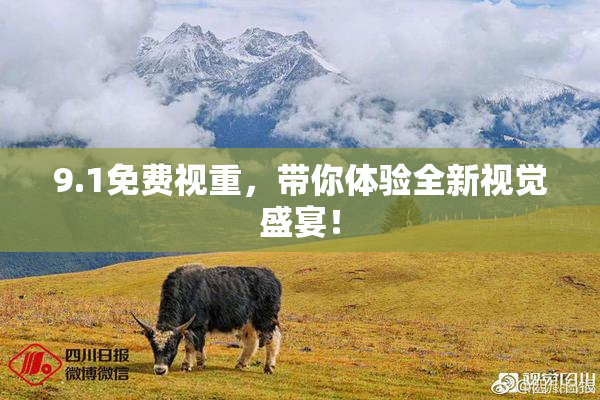 9.1免费视重，带你体验全新视觉盛宴！
