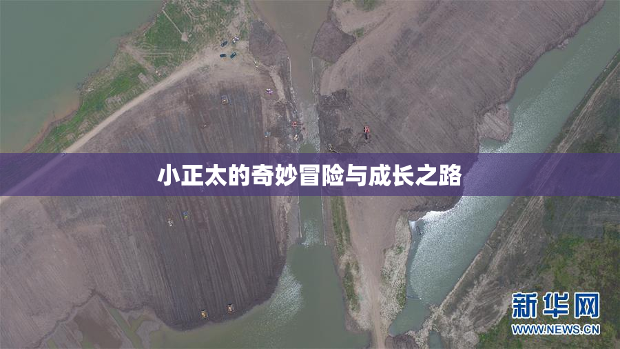 小正太的奇妙冒险与成长之路