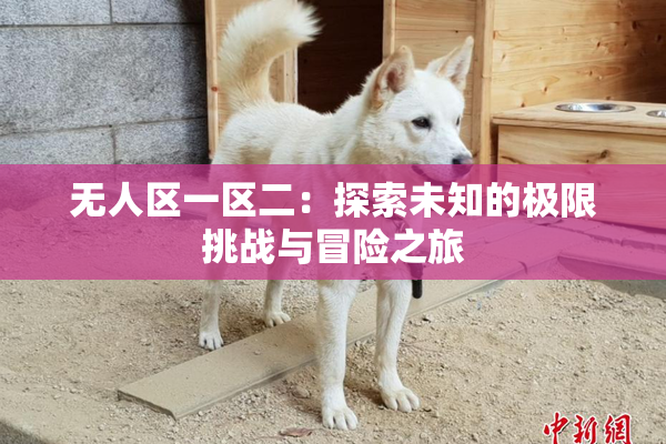 无人区一区二：探索未知的极限挑战与冒险之旅
