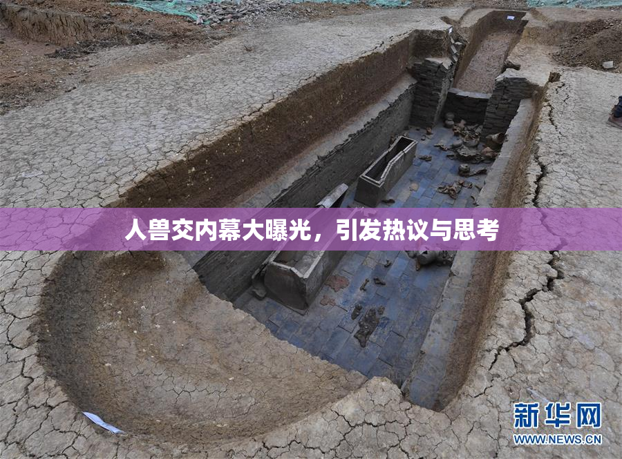 人兽交内幕大曝光，引发热议与思考