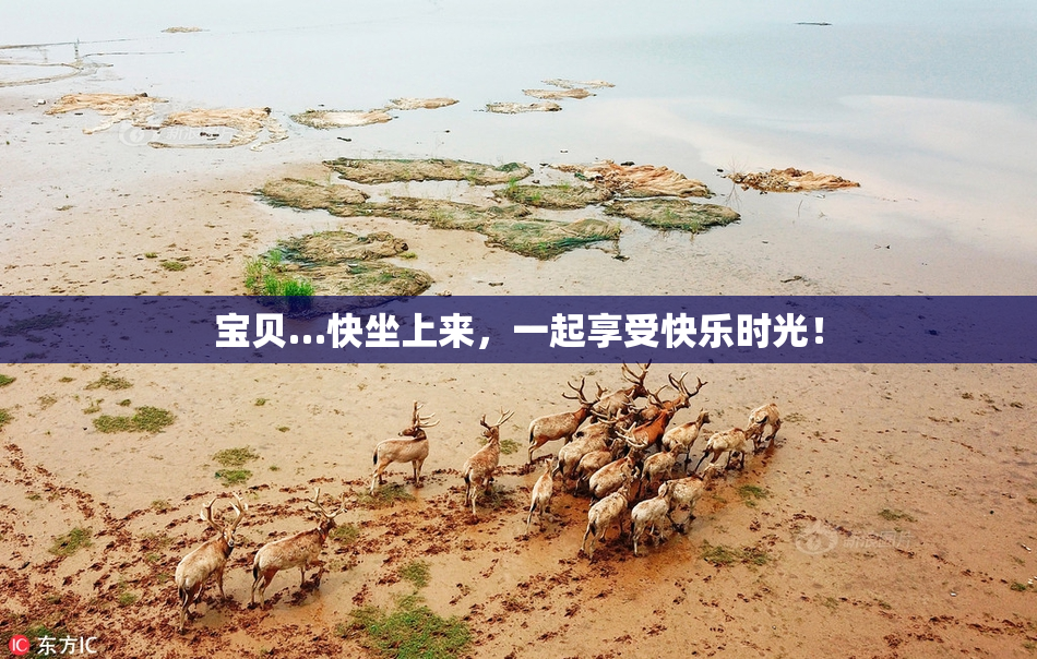 宝贝…快坐上来，一起享受快乐时光！
